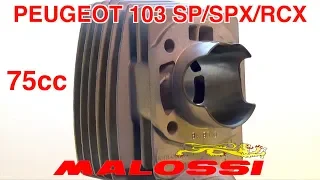 KIT MALOSSI 75cc ALU PEUGEOT 103 SP/SPX/RCX 18910