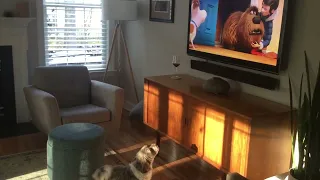 Dog barks at dogs in Secret Life of Pets