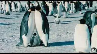 March Of The Penguins - Official® Trailer [HD]