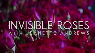 "Invisible Roses" A site-specific work for the Museum of Contemporary Art Chicago's 50th Anniversary