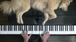 Rameau on Piano for Sharky the Dog