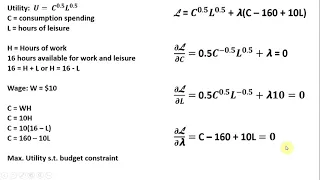 Lagrangian: Labor-Leisure Choice Model