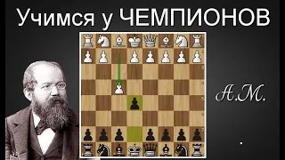 Стейниц ЭФФЕКТНО 💣 громит Берда и его дебют 1.f4  Шахматы