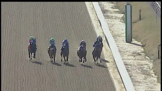 LAUREL PARK 02 25 2024 RACE 5