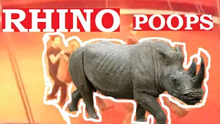 Rhino marking his territory at the circus. Аnimal poops.