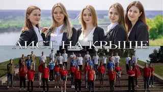 Всероссийская акция «Аист на крыше»