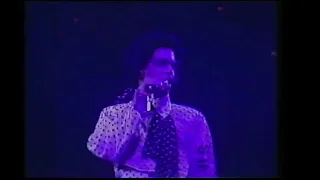 Prince - Adore (Live at Dortmund, Germany '88)