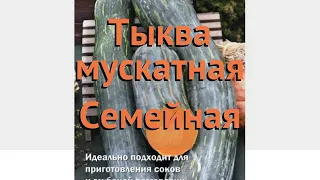 Тыква мускатная Семейная (semeynaya) 🌿 тыква Семейная обзор: как сажать семена тыквы Семейная