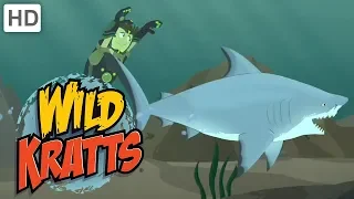 Wild Kratts - Best Season 4 Moments! (Part 6/6) | Kids Videos