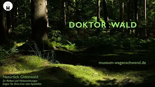 Doktor Wald: Ein Gedicht.