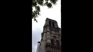 Cathédrale Notre-Dame de Paris - Plenum nord