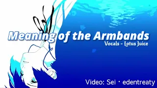 "Meaning of the Armbands" Dynamic Lyrics Video - Persona 3 Reload