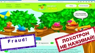 НЕ НАЖИМАЙ | Tropic-birds.biz отзывы 2018. Разоблачение игра с выводом денег. Честный отзыв! Fraud!