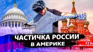 Моя компания в США / Что с Теслой? / Свич 1.50