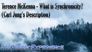 Terence McKenna - What is Synchronicity? (Carl Jung's Description)