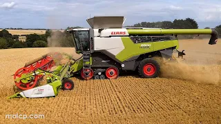 4Kᵁᴴᴰ Harvest 2023: Claas Lexion 8900 TT combine on a changeable afternoon, very dusty barley! 🤨