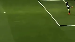 Black cat scores a goal!!