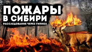 Пожары в Сибири. Расследование через гипноз!