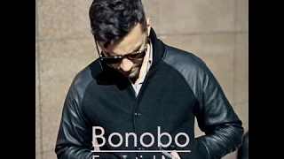 Bonobo Essential Mix   BBC Radio 1