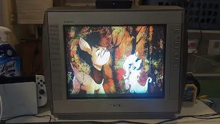 A Look At My Latest CRT TV: The Sony Trinitron KV-13FM12