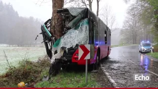 Bus fährt nahe Bad König gegen einen Baum