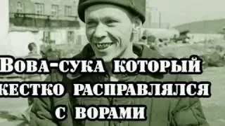 Главная сука в лагерях Вова Варшава.