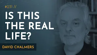 David Chalmers | The Metaverse, Virtual Worlds, and the Problems of Philosophy