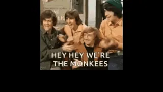 The Monkees FOREVER! #theMonkees #MikeNesmith #MickyDolenz #PeterTork #davyjones