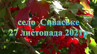 Сиваський ліцей № 1. Ми  пам'ятаємо світ вас визнає! Запали свічку памяті  про геноцид нашого народу