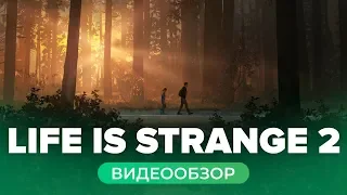 Обзор игры Life is Strange 2