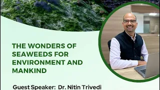 The Wonders of Seaweeds for Environment and Mankind