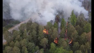 В Югре охвачено огнём свыше 80 000 гектаров леса