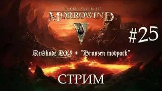 TES: Morrowind ReShade DX9 + "Bransen modpack" 25