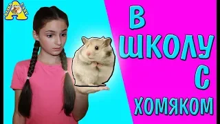 В ШКОЛУ с ХОМЯКОМ | ПОКУПКИ К ШКОЛЕ с сайта Newchic | BACK TO SCHOOL | бек ту скул 2018 | ALISA EASY