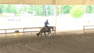 6 1 24   Buckeye Reining Spectacular   Decade Derby Open   Robin Schoeller on SS Platinum Dream