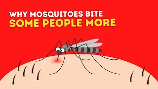 Why Mosquitoes Bite Some People More Than Others | Explained