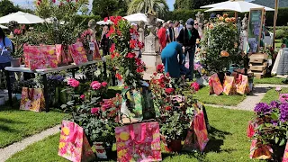 Поездка на выставку роз на Виллу Ротшильдов на Лазурном Берегу/ Красота глаз не оторвать!