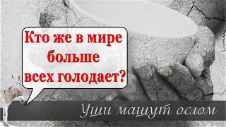 Кто же в мире больше всех голодает? | Уши машут ослом (95)