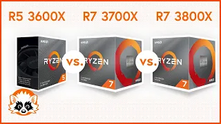 AMD R5 3600X / R7 3700X / R7 3800X CPU comparison - the triple X competition