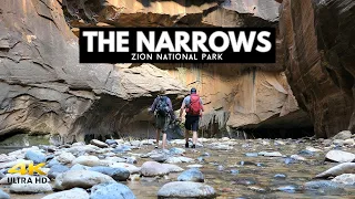 The Narrows | Zion National Park | A Beginner's Guide