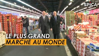 Rungis : Au cœur du plus grand marché au monde