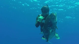 Hawaii Spearfishing Oahu 7th Dive Video 2020