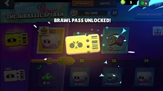 Brawl Pass in a nutshell 💙