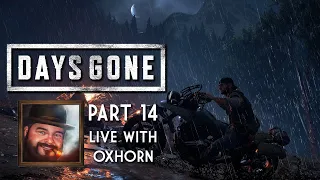 Days Gone Part 14 - Live with Oxhorn