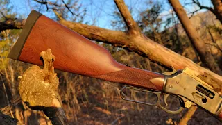 New Henry Lever Action Project!