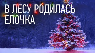 В ЛЕСУ РОДИЛАСЬ ЕЛОЧКА