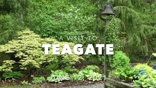 Teagate Tour 2021