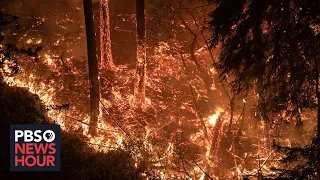 WATCH LIVE: Updates on Northern California's Glass fire