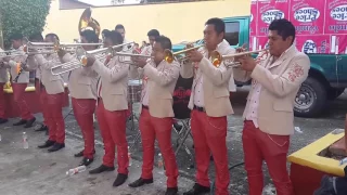 Popurri de mambos - Banda reina de huajapan