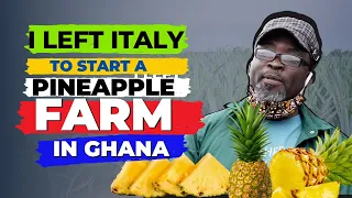 I left ITALY to become a PINEAPPLE FARMER in GHANA!!! PART 1
